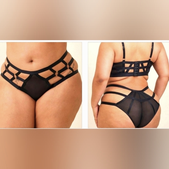 ❤️NWT VINTAGE TORRID PANTY - OVERT STRAPPY MESH HIPSTER PANTY LINGERIE - Picture 8 of 11